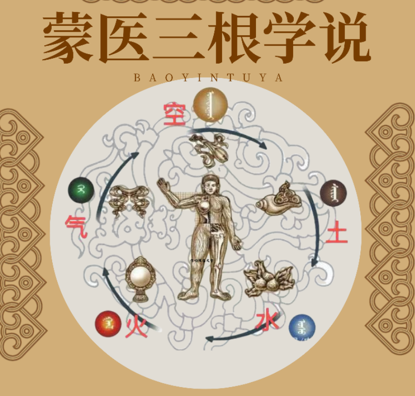 蒙医体质健康测试