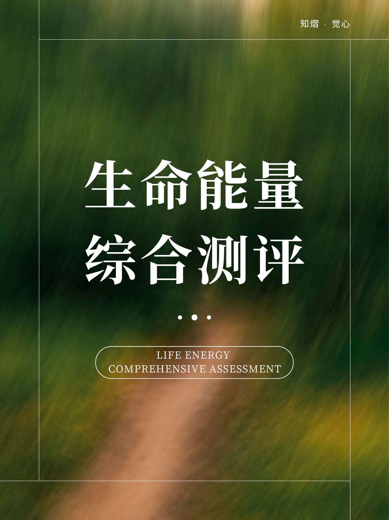 生命能量综合评估（LECA）