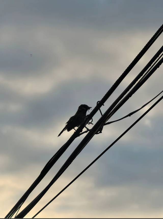 这位家长，你焦虑了吗